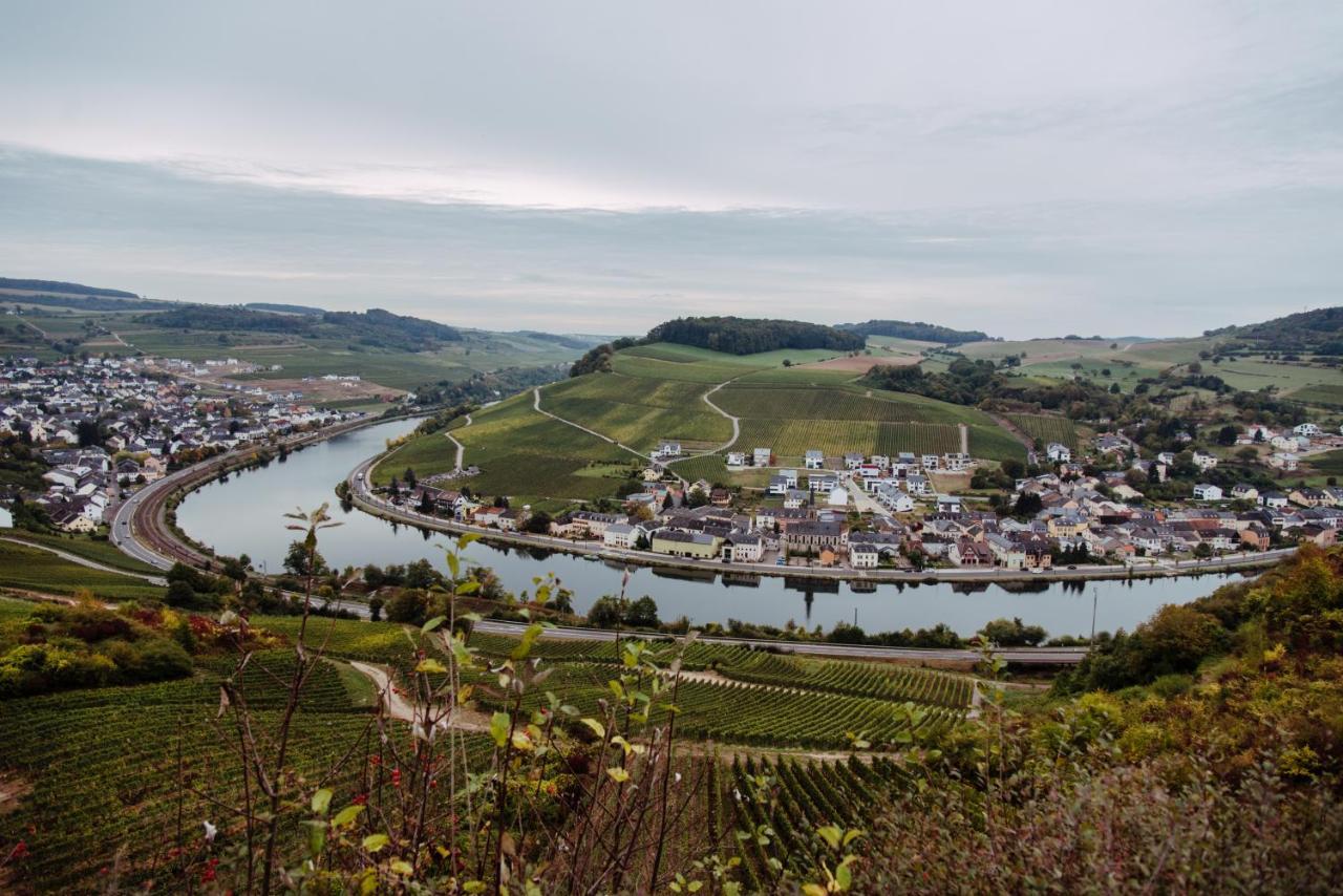 Weingut Und Gaestehaus Zilliken นิทเทอ ภายนอก รูปภาพ